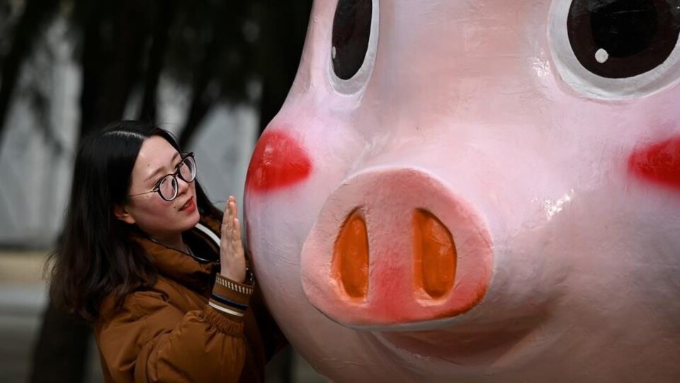 Un femme touche la joue d'une figurine de cochon