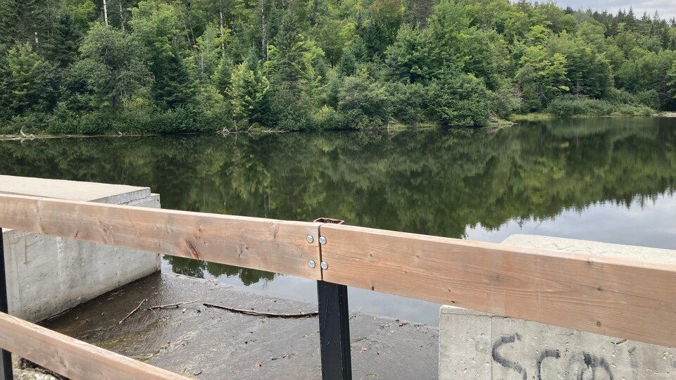 Noyade à Thetford Mines il meurt en tentant de sauver son fils RadioCanada.ca