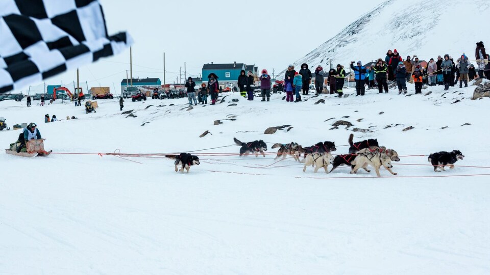 Départ de la course avec un groupe de chiens dans la neige.