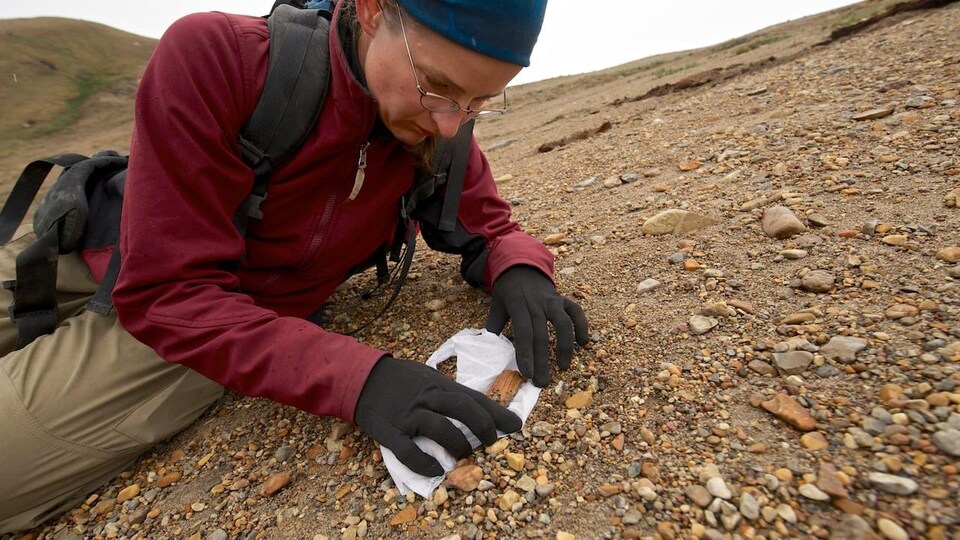 Une scientifique est allongée sur le sol et elle tient un fossile qu'elle a placé dans du papier toilette.