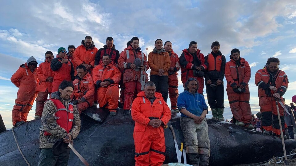 Une vingtaine de chasseurs d'Igloolik, se tiennent sur une baleine boréale, le dimanche 7 août 2022.