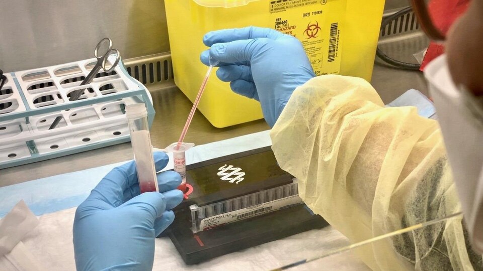 Une technicienne de laboratoire effectue une analyse à l'aide d'un appareil BioFire.