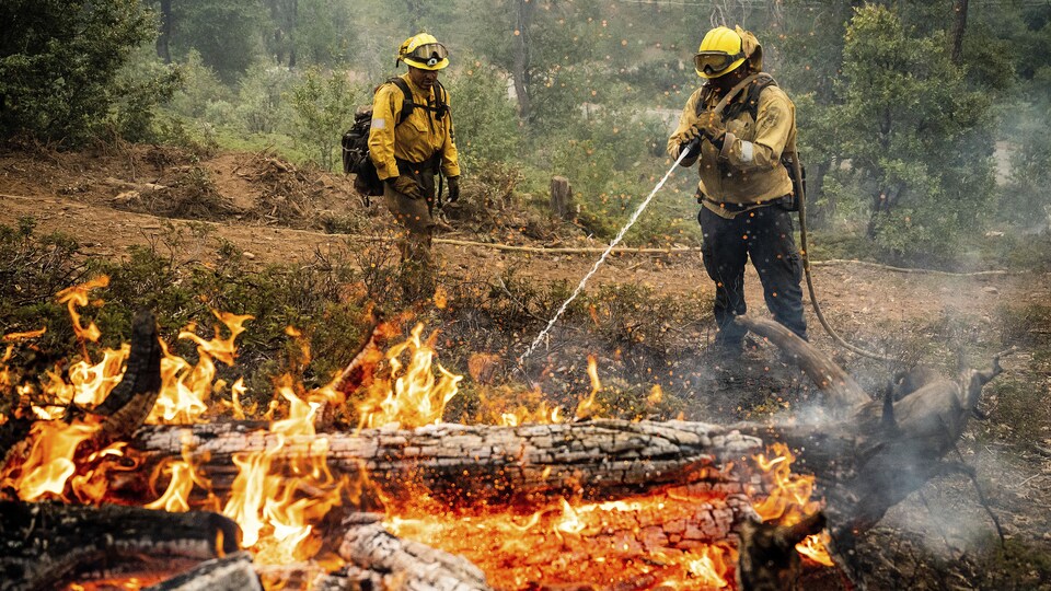 Des pompiers californiens arrosent les flammes d'un feu de forêt.