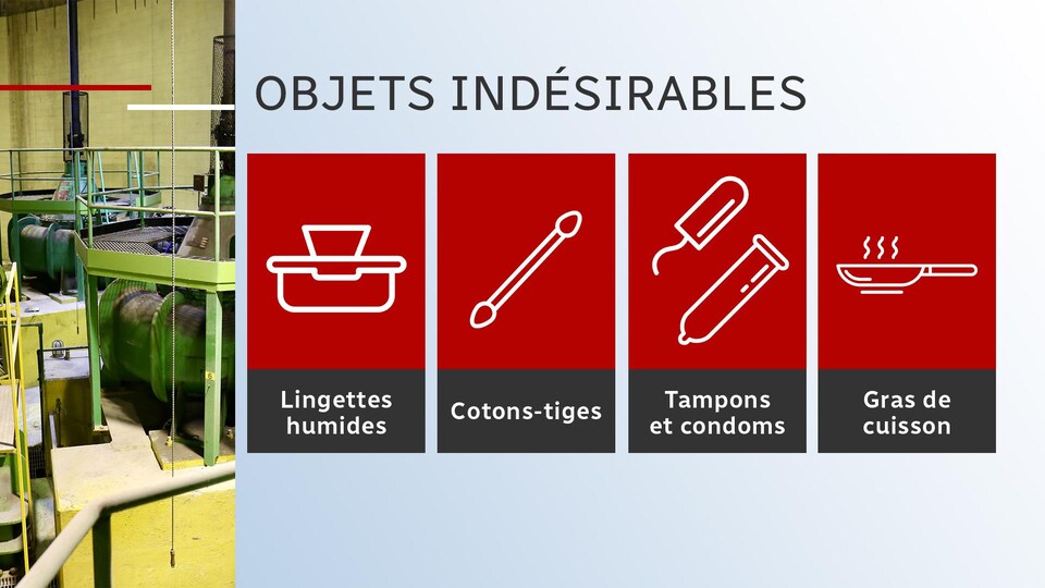 Les objets les plus jetés dans les toilettes par les citoyens de Québec.