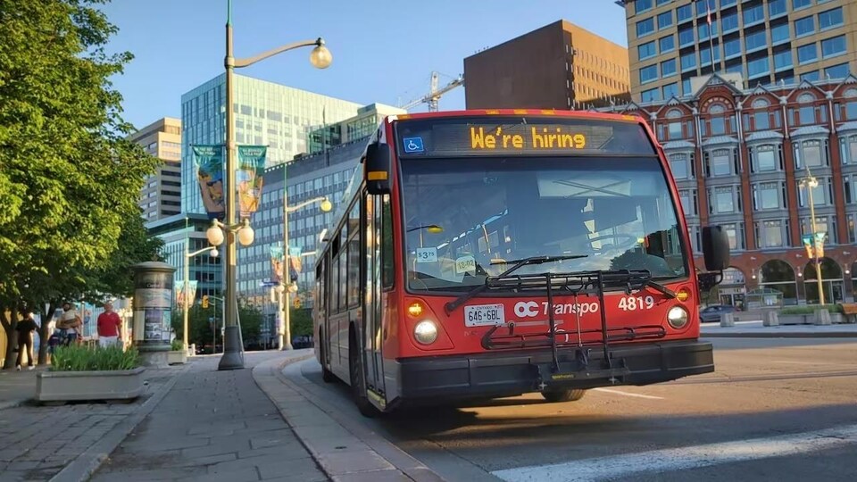 Un bus d'OC Transpo.