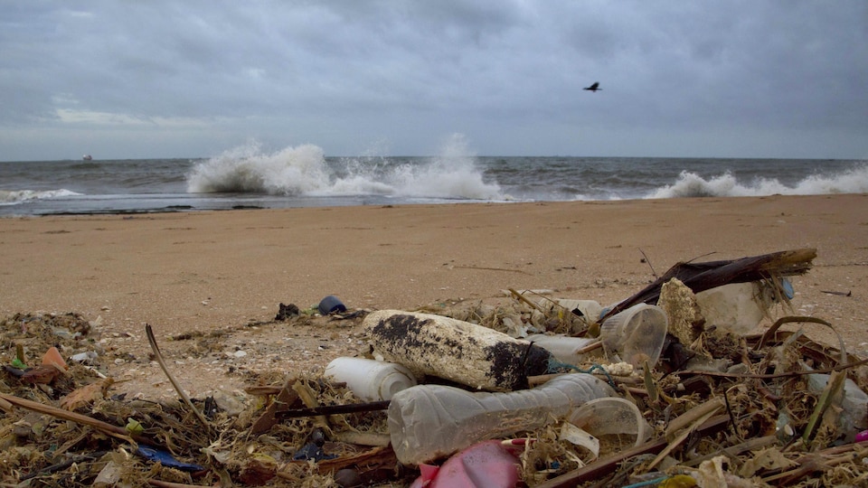 Des déchets de plastique jonchent la plage d'Uswetakeiyawa au Sri Lanka.
