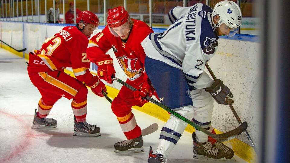 Des joueurs du Drakkar de Baie-Comeau et de l'Océanic de Rimouski se disputent la rondelle dans un coin de la patinoire.