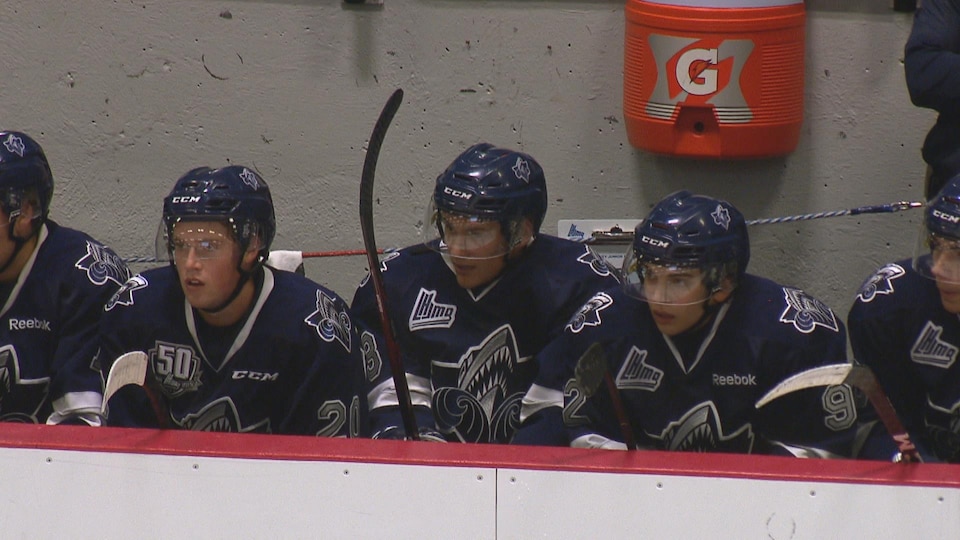 Des joueurs sur le banc surveillent ce qui se passe sur la glace.