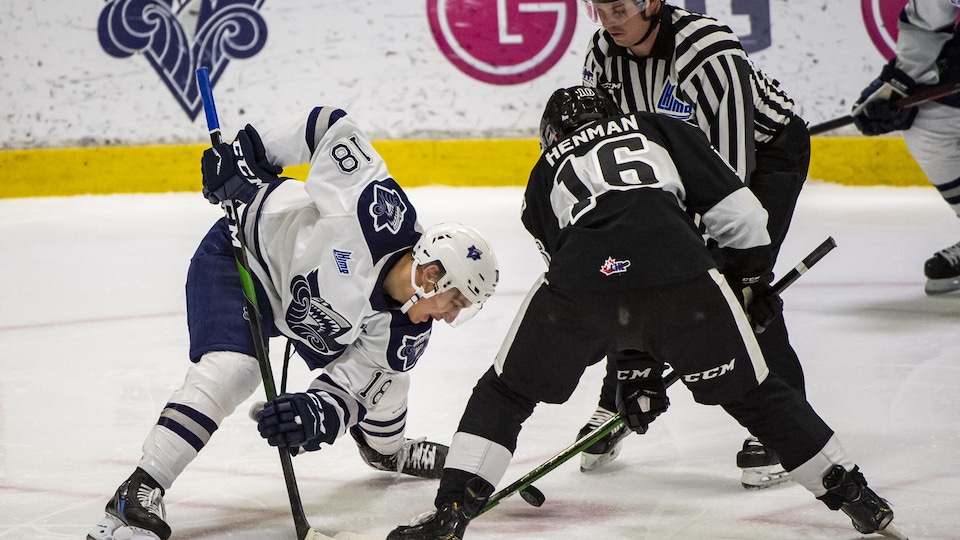 Deux joueurs de hockey s'apprêtent à se disputer la rondelle lors d'une mise au jeu.
