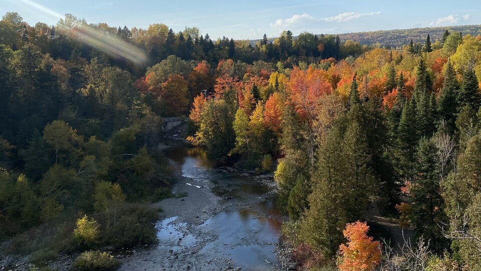 Plusieurs régions du Québec battent des records de chaleur Radio — free download