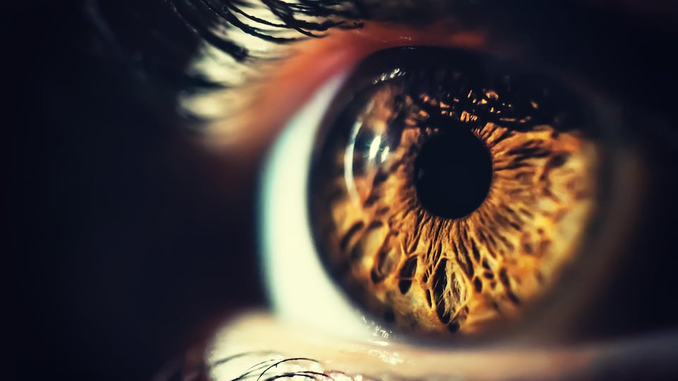 Un gros plan sur un oeil humain.