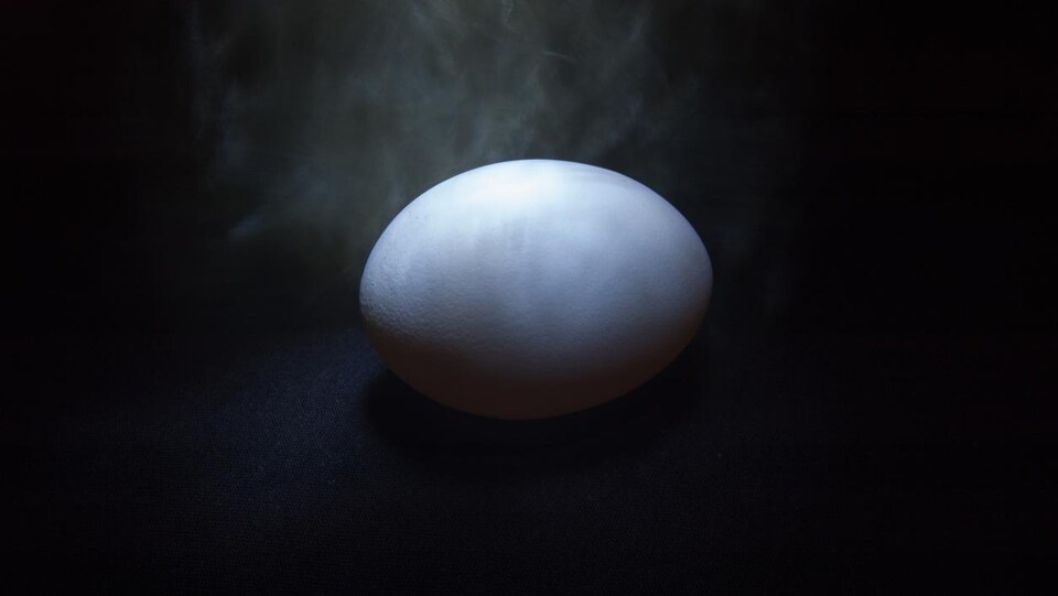 Un oeuf.