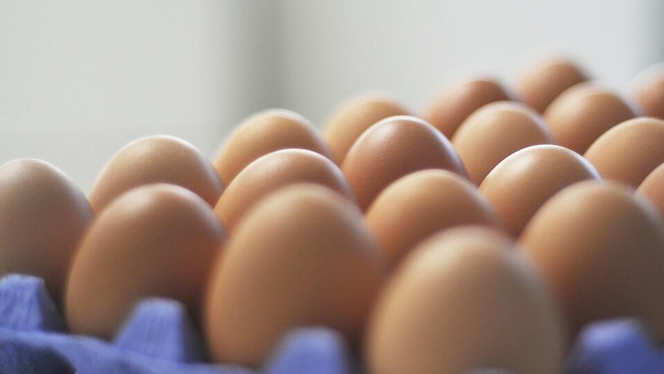 Des oeufs