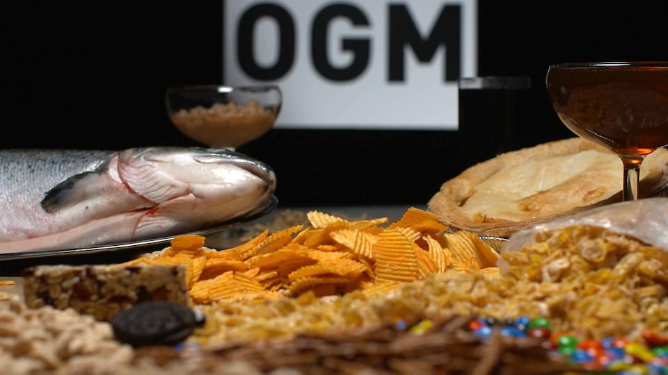 Un saumon, des croustilles, des biscuits et d'autres aliments sont disposés sur une table au-dessus de laquelle on peut lire la mention OGM