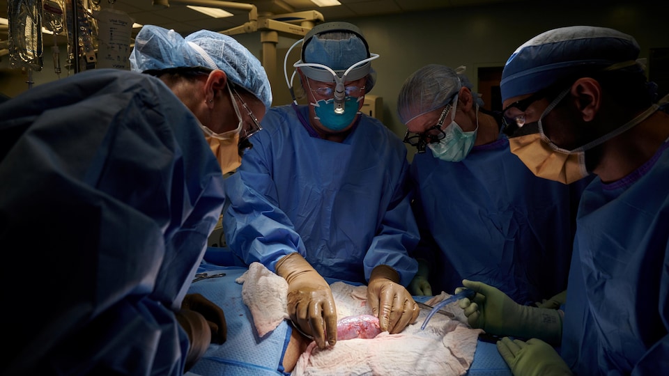 Une équipe de chirurgiens dans une salle d'opération.