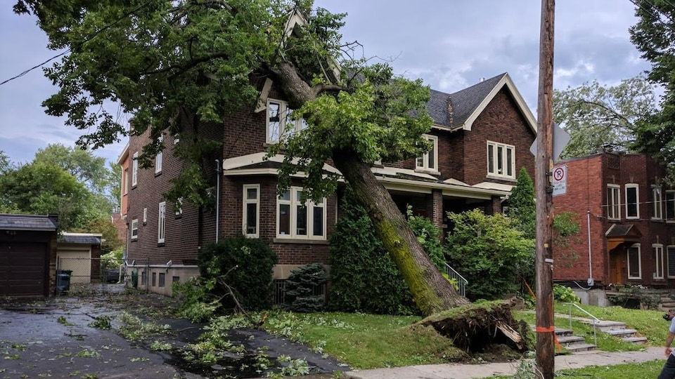 Un arbre s'abat sur une maison dans Côte-des-Neiges-Notre-Dame-de-Grâce après le passage des orages violents.