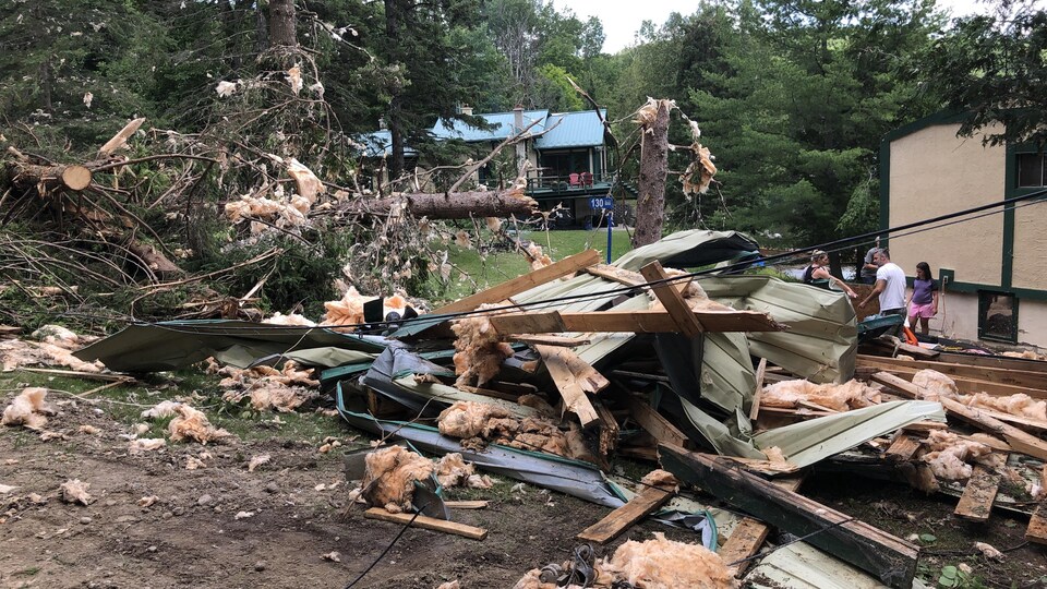 Une maison écrasée sous les arbres.