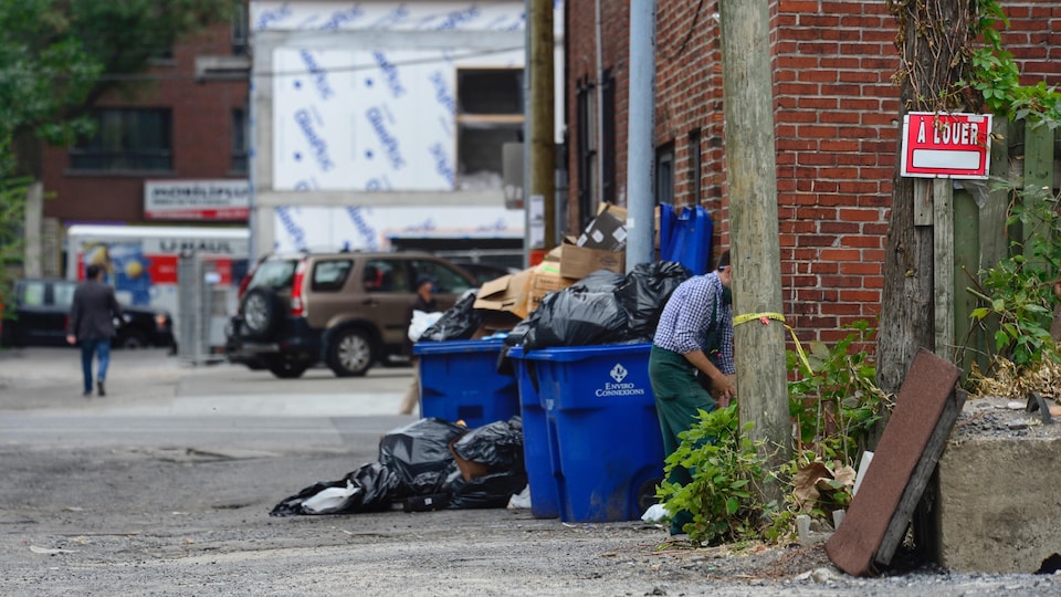 Des bacs de recyclage débordés dans une ruelle à Montréal.