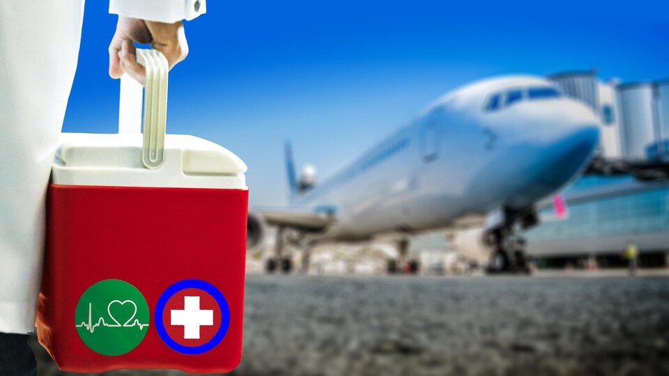 Un médecin transporte une glacière vers un avion.
