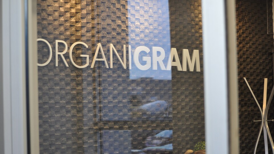 La cote boursière du producteur de cannabis Organigram a doublé au cours des trois derniers mois.