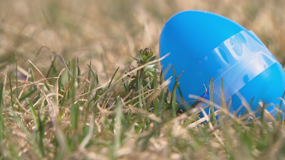 Un œuf de Pâques bleu.
