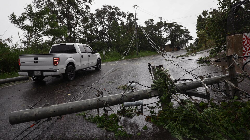 Des lignes électriques détruites par l'ouragan Fiona.