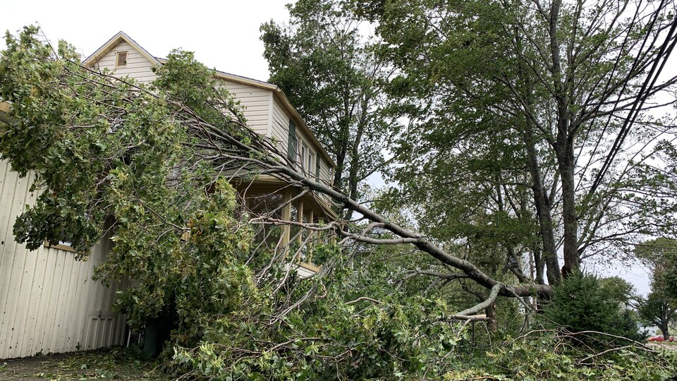 Le vent a cassé cet arbre qui est allé s'écraser sur un coin de la résidence de Ron Ward à Beaubassin-Est.