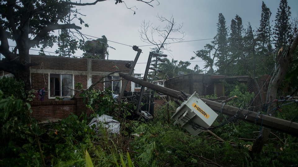 Des poteaux électriques et des arbres ont été endommagés par le passage de l'ouragan Grace.