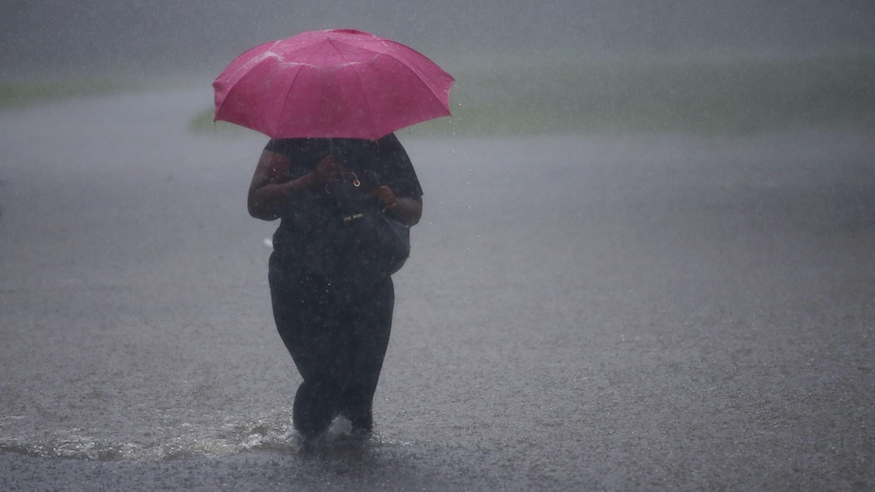 Une femme marche dans une rue inondée, avec de l'eau jusqu'aux genoux, alors que la pluie s'abat sur elle et son parapluie rose. 