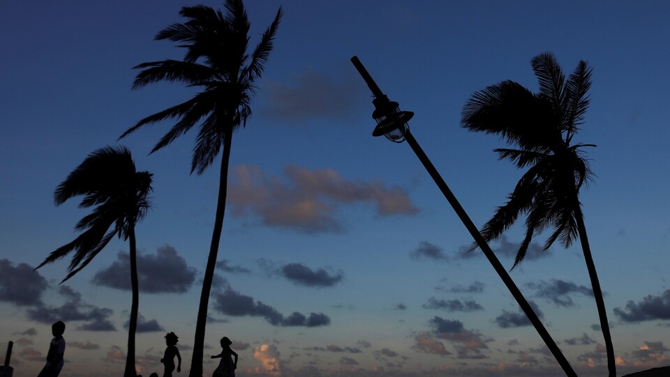 Des silhouettes de personnes marchant sur la plage sont vues le 13 octobre 2017 et les arbres et le poteau près d'eux sont croches. Derrière eux, le soleil semble se coucher ou se lever, puisque les nuages sont partiellement éclairés.