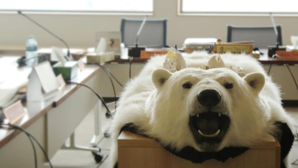 Une peau d'ours polaire décore la table centrale de la salle du conseil du hameau de Kugaaruk, au Nunavut. 