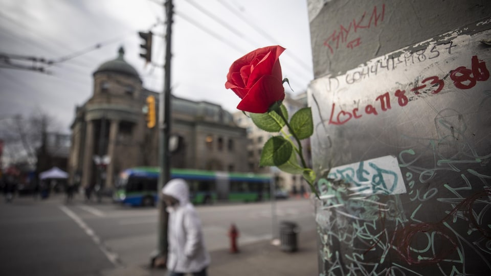Une rose à la mémoire des personnes mortes d'une surdose dans le quartier Downtown Eastside à Vancouver.
