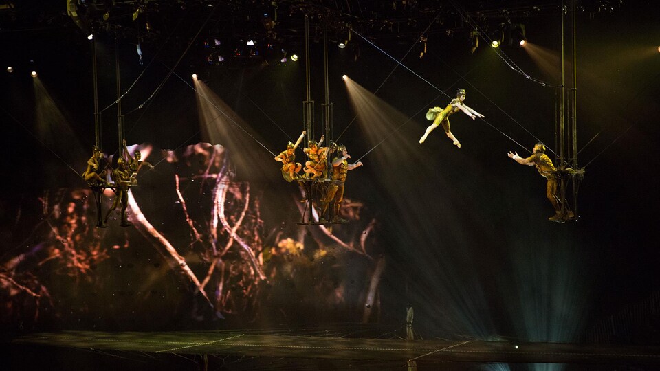 Le spectacle « OVO », du Cirque du Soleil