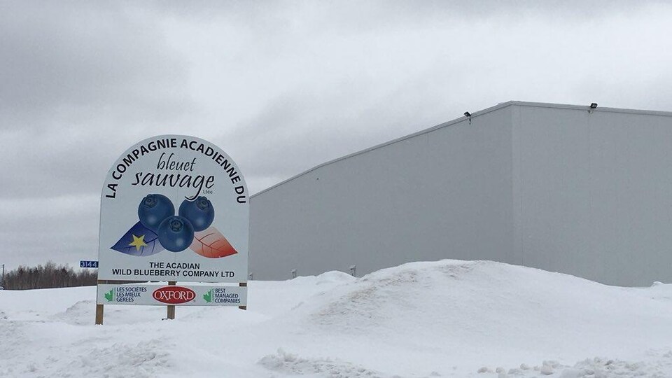 Une affiche montrant des bleuets devant une usine.
