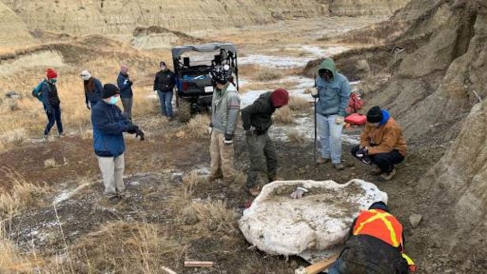 Plusieurs hommes et femmes sont debout au-dessus d'une masse de plâtre d'un mètre environ qui contient des os de dinosaure. On voit d'autres gens et un jeep en arrière-plan.