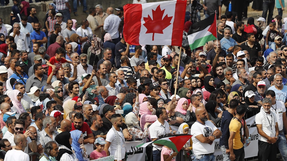 Un foule de manifestants brandissant des drapeaux palestinien et canadien.