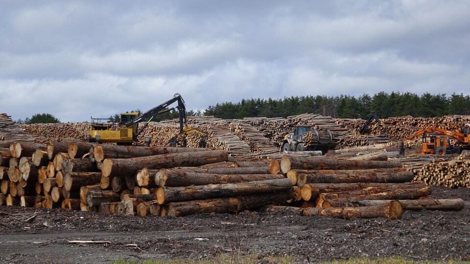 L'industrie forestière est au coeur de l'économie de Saint-Pamphile. 