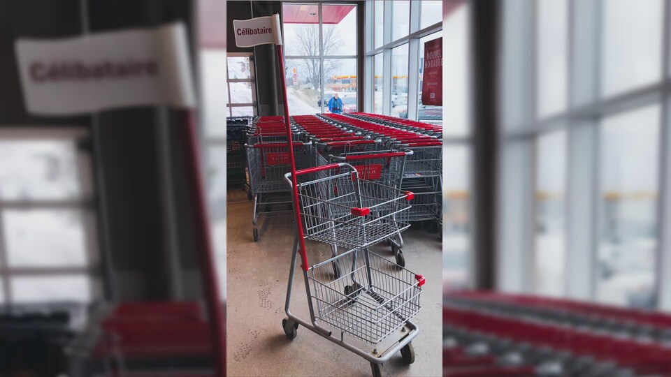 Un panier d'épicerie porte un drapeau indiquant «Célibataire».