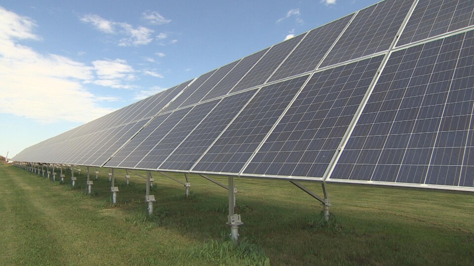 Une installation de panneaux solaires dans un champs.