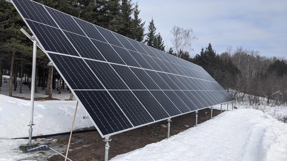 Des panneaux solaires sur un terrain privé près d'une forêt.
