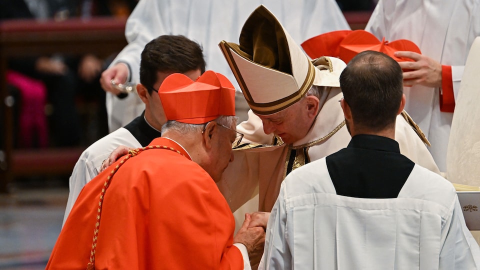 Le Pape François Crée 20 Cardinaux à La Ligne Proche De La Sienne ...