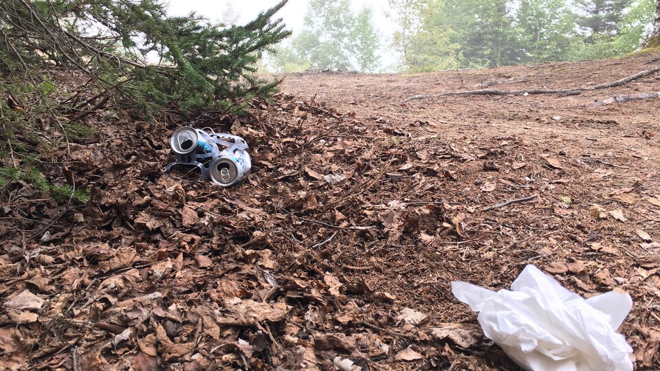 Des canettes de bière et du papier absorbant jonchent le sol d'un parc.