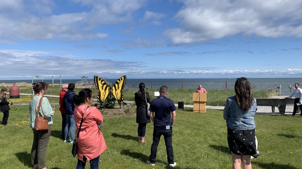 Le papillon tigré de Bas-Caraquet.