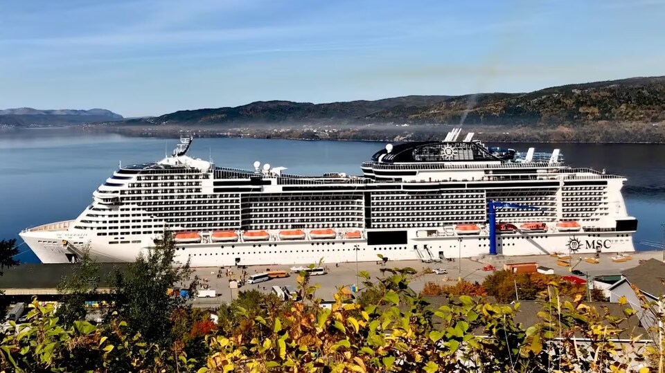 Un paquebot de la compagnie MSC accosté dans le port de Corner Brook.