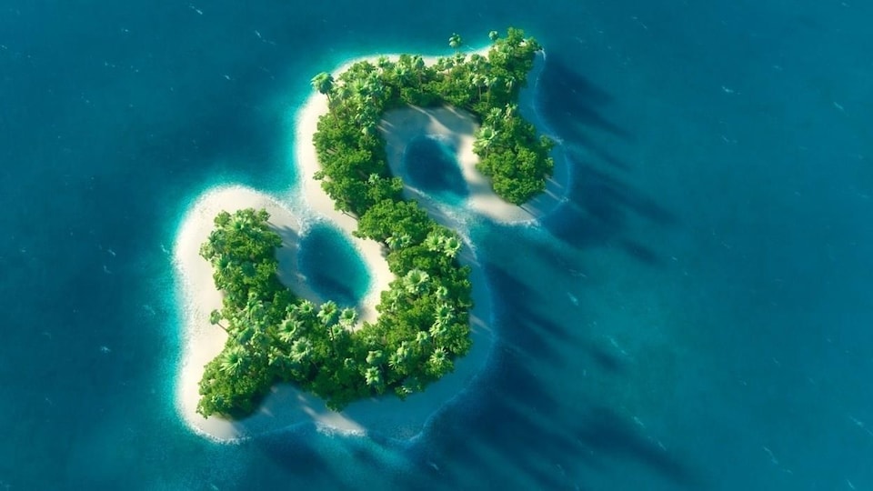 Une île en forme de signe de dollar