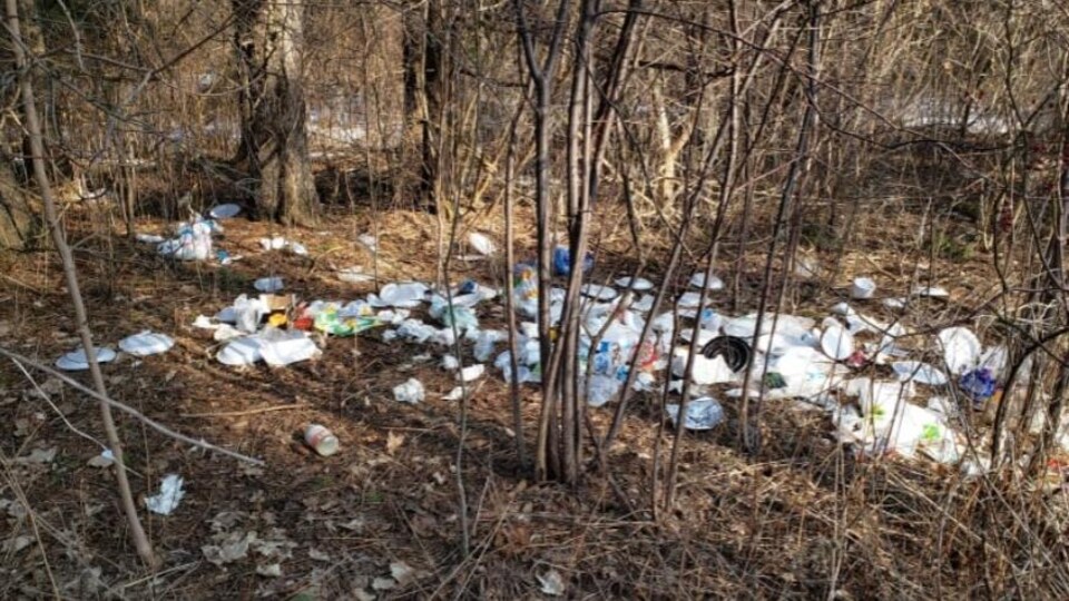 Des déchets dans un parc.