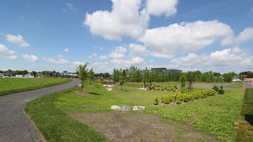 Un parc a été partiellement aménagé cet été dans l'écoquartier D'Estimauville qui accueillera son premier projet résidentiel.