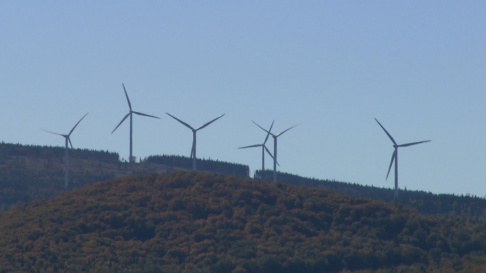 Éoliennes dans le parc du Lac Alfred