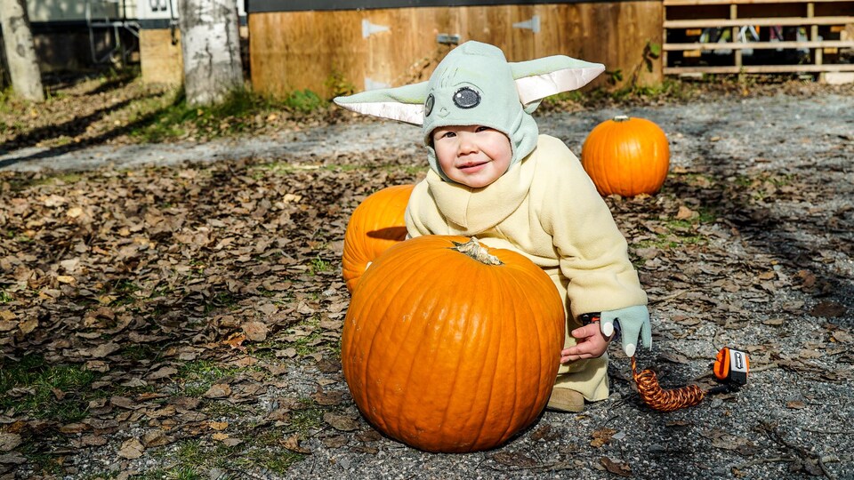 Un enfant avec un déguisement du personnage de Yoda se tient près d'une citrouille.