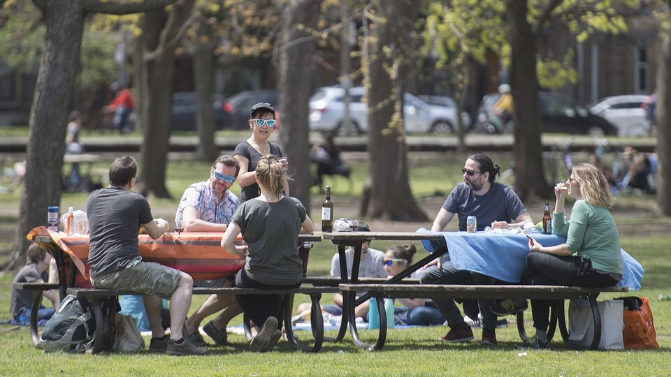 Six personnes sont assises à des tables à pique-nique, à distance réglementaire en temps de pandémie, dans un parc de Montréal.
